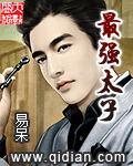 最强太子爷完结