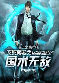 龙蛇再起之国术无敌人物关系