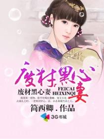 废材狂妃之腹黑四小姐
