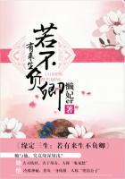 若有来生定不再负卿是什么歌