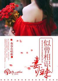 似曾相识妻归来免