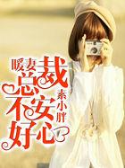 安暖总裁