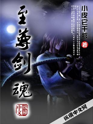 至尊剑魂林奇无弹窗文学