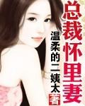 总裁宠怀孕妻子