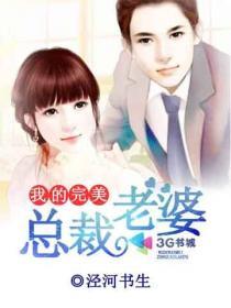 我的完美总裁老婆叶凡温岚免费阅读