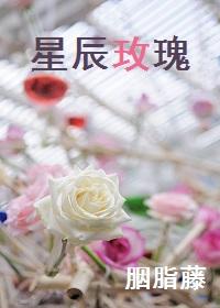 星辰玫瑰项链不能乱戴