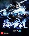 终极系列之武道