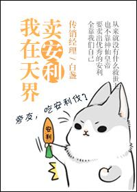 我在天界推广信息化txt