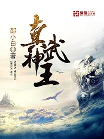 真武神王短剧合集