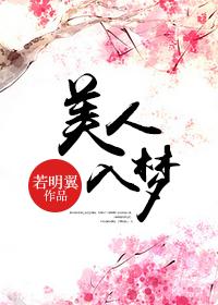美人入梦十二分清纯免费阅读