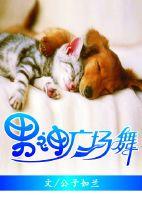 男神广场舞未删减256中文网