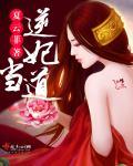男妃当道游戏
