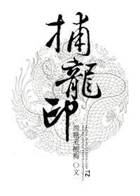 捕龙印实体书番外
