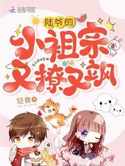 陆爷的小祖宗又撩又飒全本网