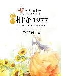 重生相守1977晋江