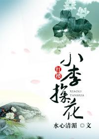 小李探花电视剧