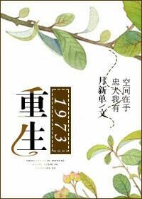 重生1973下乡知青练武功的