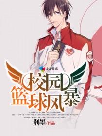 校园篮球风暴宋惟txt