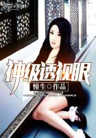 神级透视眼作者辉龙