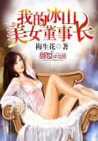 我的冰山美女董事长.梅生花