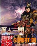三国之乱入争雄