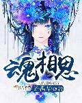 相思入魂表达了什么