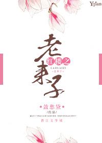 红楼之老来子作 者敛愁黛