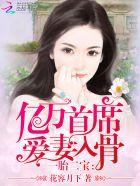 一胎二宝亿万首席爱妻入骨免费读全文阅读