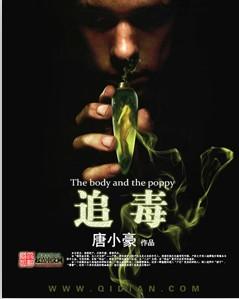 追毒风暴
