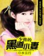 少将的黑群子