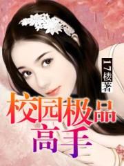校园极品高手TXT全文