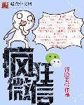 疯狂的微信