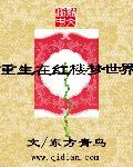 重生在红楼梦世界时光