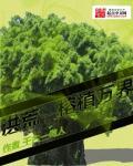 洪荒之榕植万界88