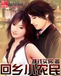 回村直播小农民民
