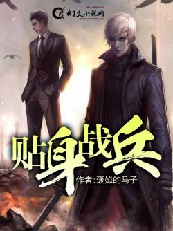 贴身战兵王潇涑慕倾城