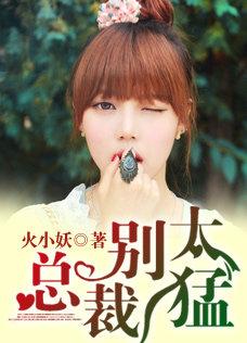 总裁别太猛安迪