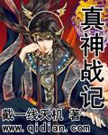 三国真战记
