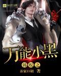 韩娱之万能小黑全文免费阅读