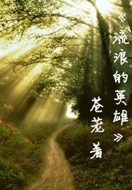 流浪者英雄在哪