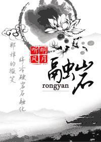 融岩辉龙象怎么打