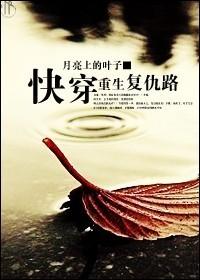 快穿重生复仇路越什TXT