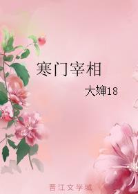 寒门宰相txt百度