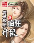 疯狂升级系统TXT免费阅读
