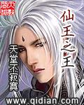 仙王之王游戏攻略大全