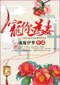 宠你为妻南巧TXT