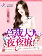 总裁大人夜夜撩北莫
