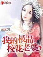 我的极品校花老婆落尘