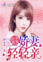 祁少老婆拆家了大结局