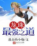 龙珠最强之道国语版
